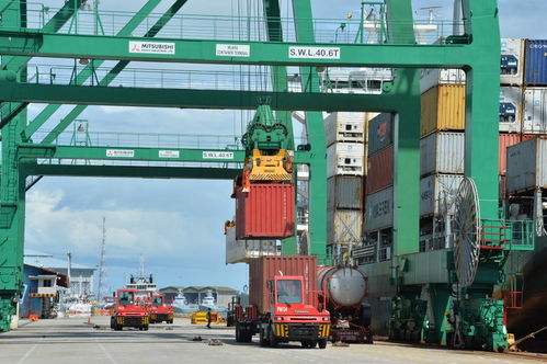 全球連線 rcep 滿月 了, 朋友圈 里好熱鬧