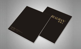 字體中國畫冊設計案例 成功案例解析與企業(yè)形象策劃的完美融合